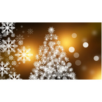 Christmas Card
